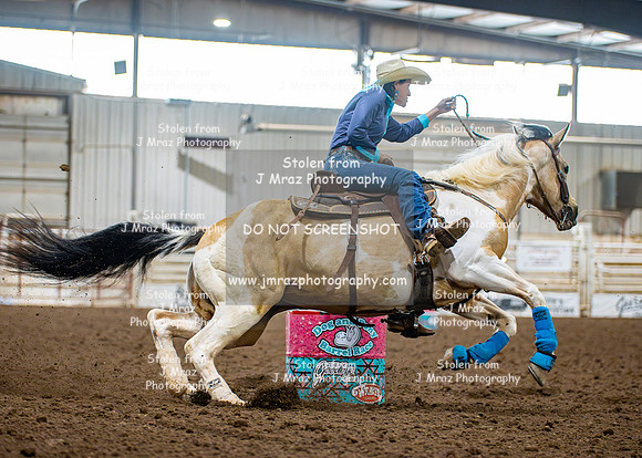 Dog&PonyShow-SaturdayAwards-300