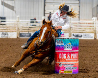 SatDog&PonyShow-May-JMrazPhotography-1108