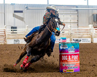 SatDog&PonyShow-May-JMrazPhotography-898