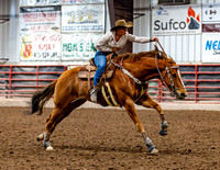 SatDog&PonyShow-May-JMrazPhotography-209