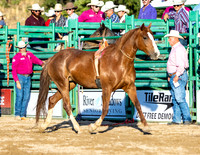 RMPRA-Alpine-JMrazPhotography-Broncs-12