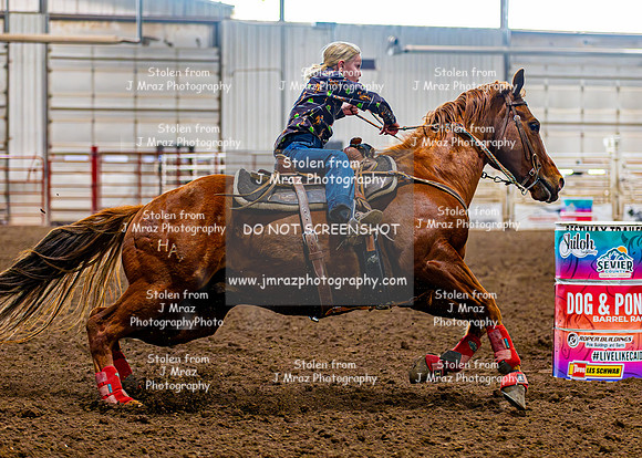 SatDog&PonyShow-May-JMrazPhotography-810