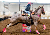 SatDog&PonyShow-May-JMrazPhotography-1206