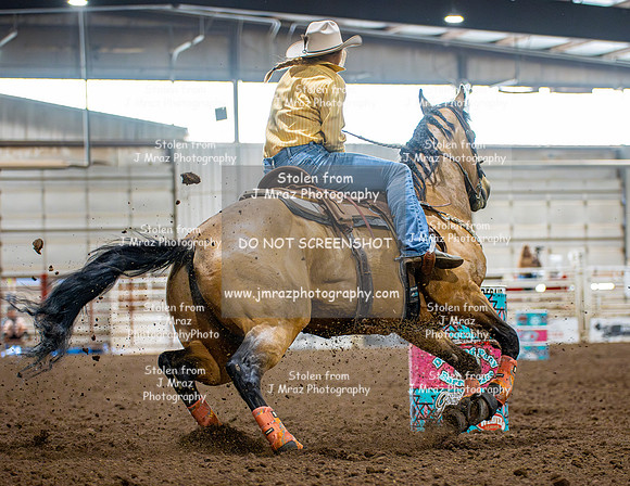 Dog&PonyShow-SaturdayAwards-512
