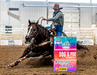 SatDog&PonyShow-May-JMrazPhotography-531