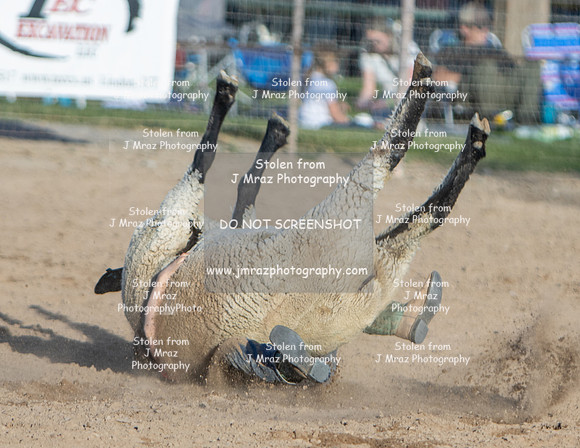 RMPRA-Genola-2024-JMrazPhotography-MuttonBusting-52