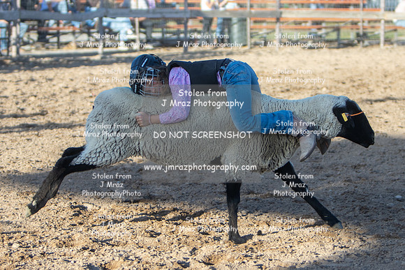 RMPRA-Genola-2024-JMrazPhotography-MuttonBusting-60