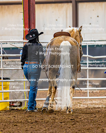 SatDog&PonyShow-May-JMrazPhotography-914