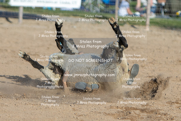 RMPRA-Genola-2024-JMrazPhotography-MuttonBusting-51