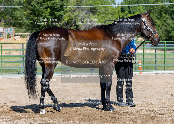 SLC4H-JMrazPhotography-4